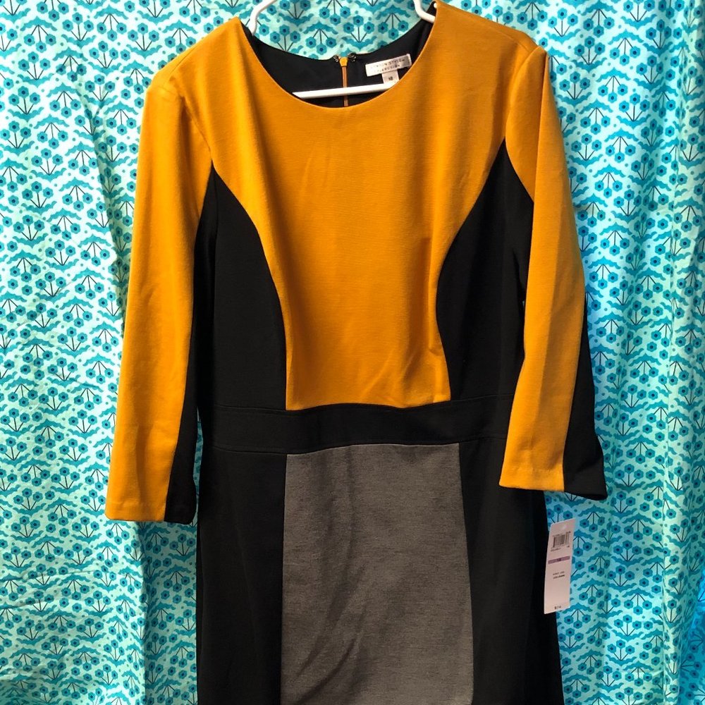 Women's color block dress, NWT tried on never worn